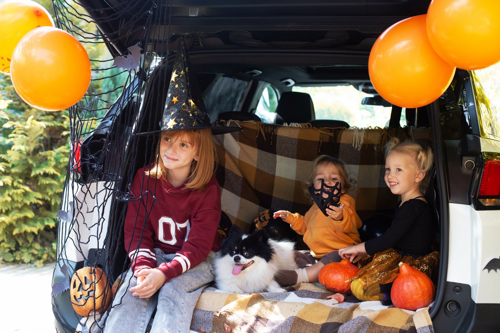 Halloween Party Service